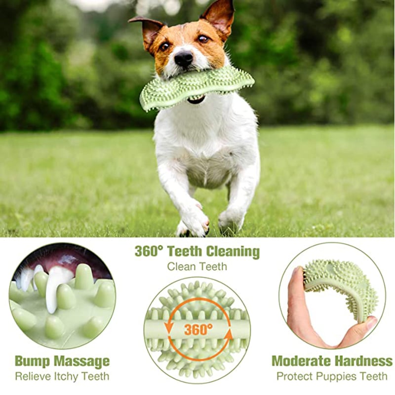 ChewPro Dog Toy Ball